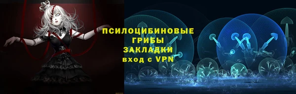 эйфоретик Алзамай