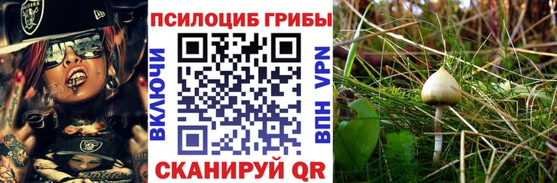 Галлюциногенные грибы ЛСД  ОМГ ОМГ маркетплейс  Шумиха 